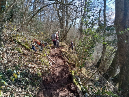 Group of volunteers working on a woodland path at Coed Dyrysiog.