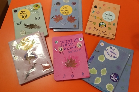 Six colourful nature diaries decorated with drawings, stickers and feathers. 