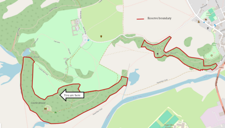 A map of Castle Woods.