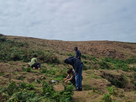 B2N taking part in Manx Shearwater chick weighing on Skomer