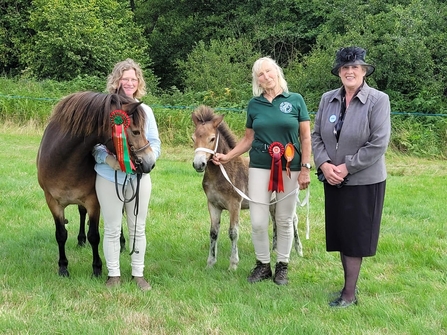 Three people stood next to prize winning pony and foal.