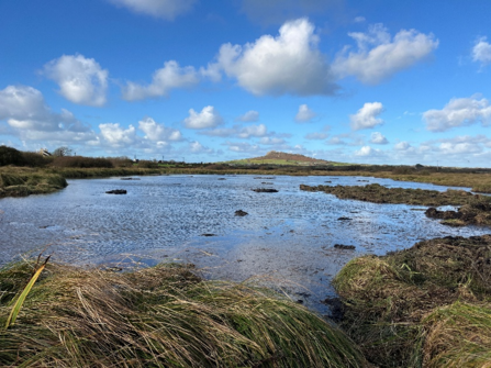 Dowrog Common wetland with blue skies