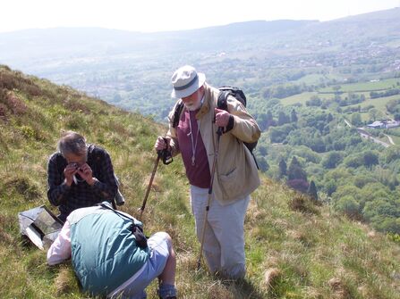 Three men in a grassy landscape, looking closely at plants