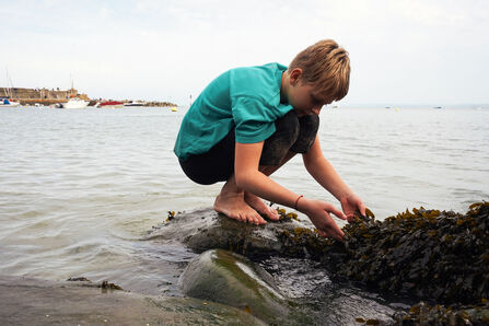 Young person crouched on a rock looking at seaweed.