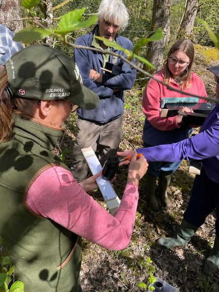 A group of people in a woodland setting up a mammal tracking tunnel