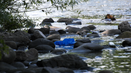 Some plastic pollution seen along the banks of the river Taff