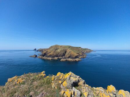 View of Skomer from Middleholm - a rocky island in a deep blue sea.