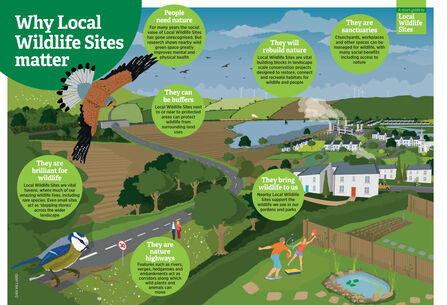 A graphic showing a landscape scene. Text explains why local wildlife sites matter, with headings of  'People need nature', 'They can be buffers', 'They are brilliant for wildlife', 'They are nature's highways', 'They will rebuild nature'.