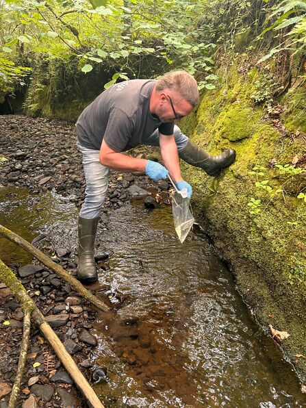 A person stood in a stream, wearing gloves, and collecting a sample of water in a clear plastic bag,