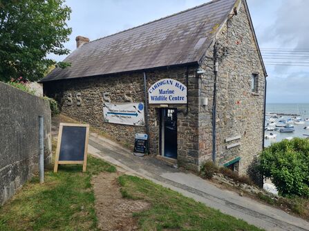 A stone building with a sign saying Cardigan Bay Marine Wildlife Centre. 