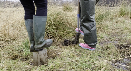 Digging wildlife ponds