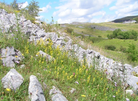 Allt Rhongyr