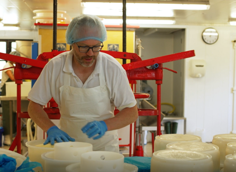 Caws Teifi Cheese staff preparing cheese