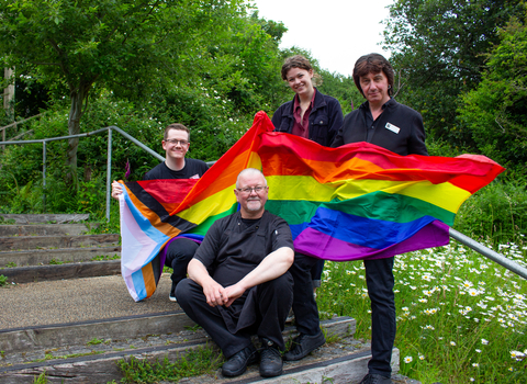 Staff - Pride flag