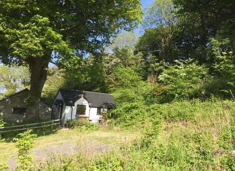 Oak Tree Cottage