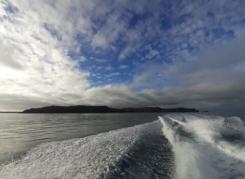 Skomer Island can be seen in the distance. The wake from a boat is visible on the sea.