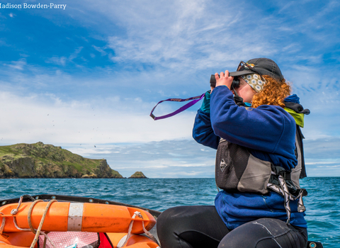 Beth, Skomer 