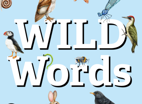 WILD Words poetry comp