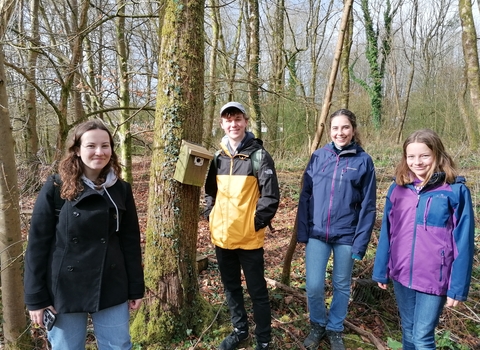 Cardiff Stand for Nature group looking at nest boxes