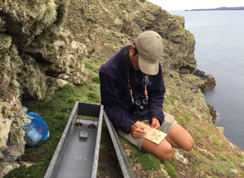 A long-term volunteer checks a biosecurity box on a grassy bank.