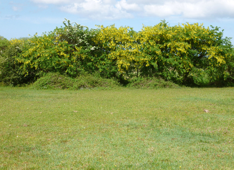 Rhos Marion Nature Reserve