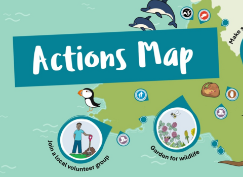 Actions map