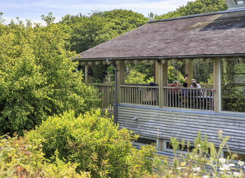 The exterior of the Glasshouse Cafe surrounded by trees with bright green leaves.