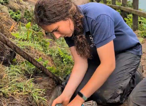 A long-term volunteer fixes a step with a drill.