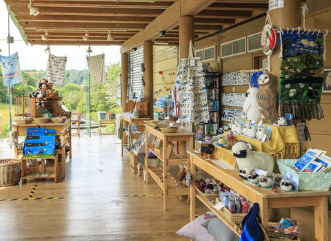 A gift shop in a wooden building with large windows.