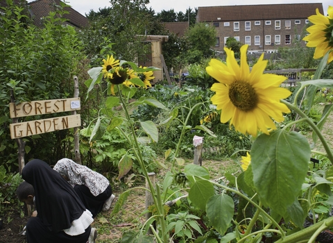 Community gardening