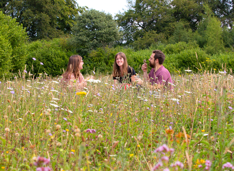 Group sitting in wildflower meadow