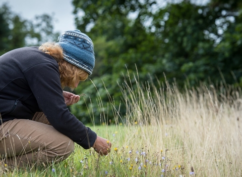 Woman surveying