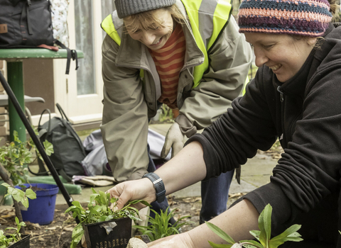 people gardening
